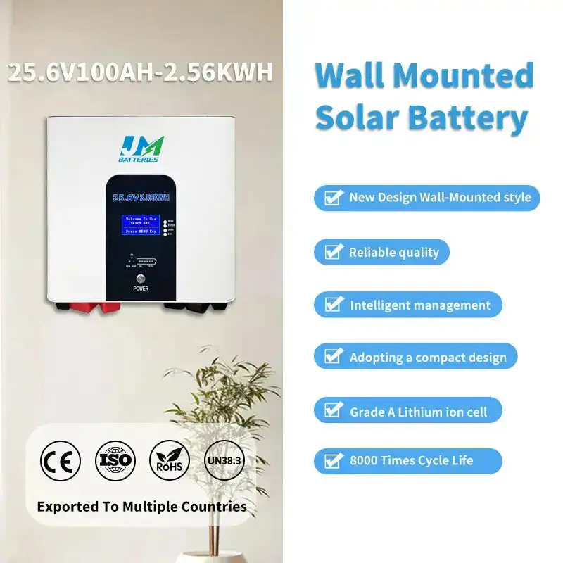 Wall-Mounted Lithium-Ion 100Ah Battery Sleek Space-Saving Battery and Dependable Battery - Image 4